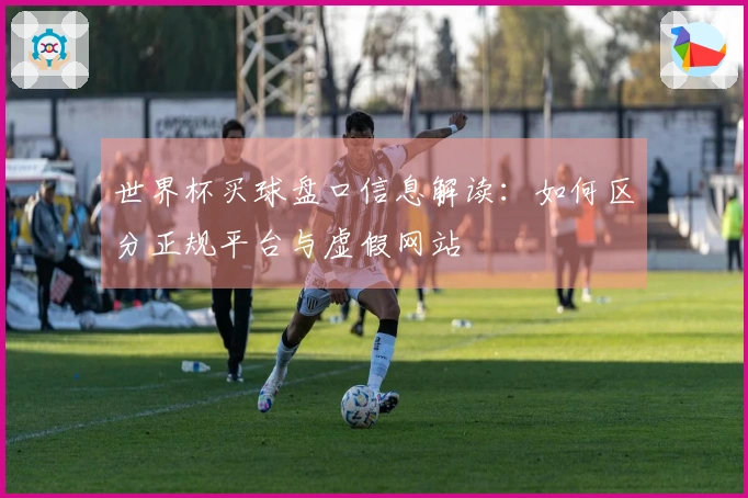 世界杯买球盘口信息解读：如何区分正规平台与虚假网站