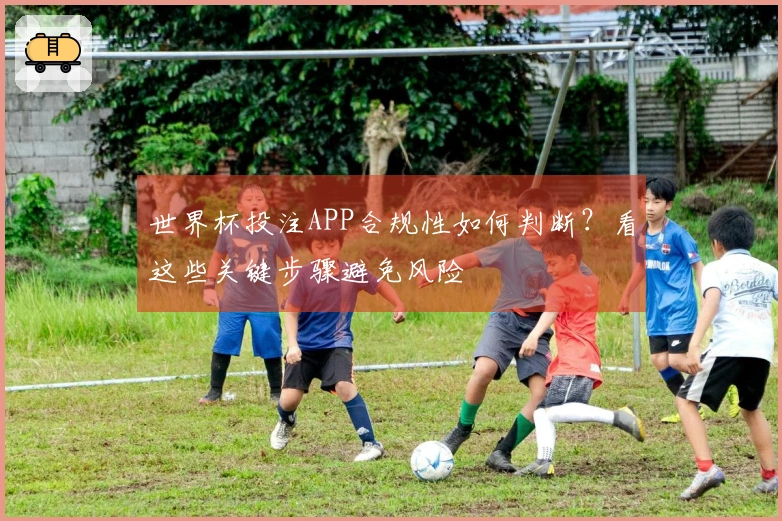 世界杯投注APP合规性如何判断？看这些关键步骤避免风险