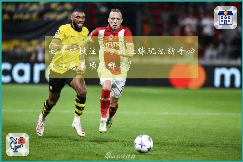 世界杯投注平台的让球玩法新手必看注意事项有哪些？