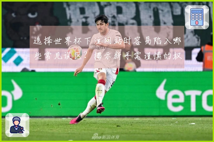 选择世界杯下注网站时容易陷入哪些常见误区？揭示新手需谨慎的权威判断标准