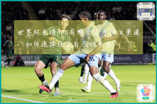 世界杯竞猜App有哪些官方投注渠道，如何选择适合自己的平台？
