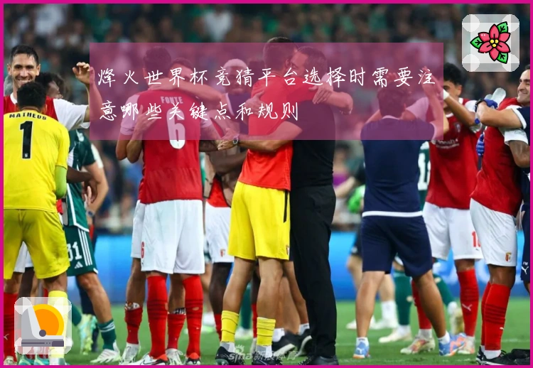 烽火世界杯竞猜平台选择时需要注意哪些关键点和规则