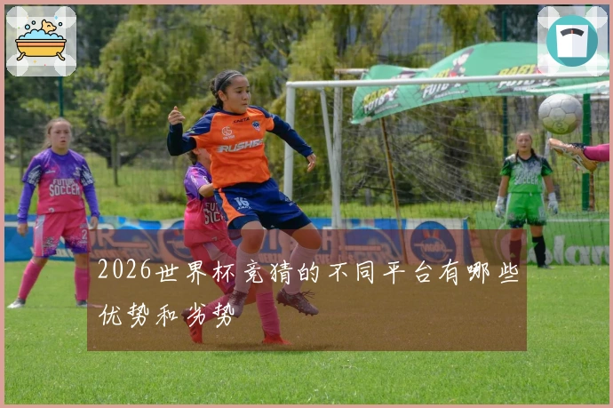 2026世界杯竞猜的不同平台有哪些优势和劣势