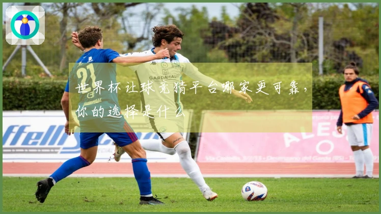 世界杯让球竞猜平台哪家更可靠，你的选择是什么