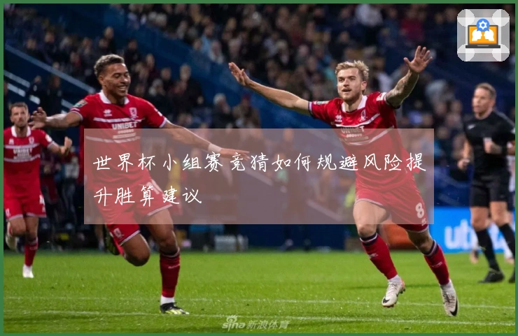 世界杯小组赛竞猜如何规避风险提升胜算建议