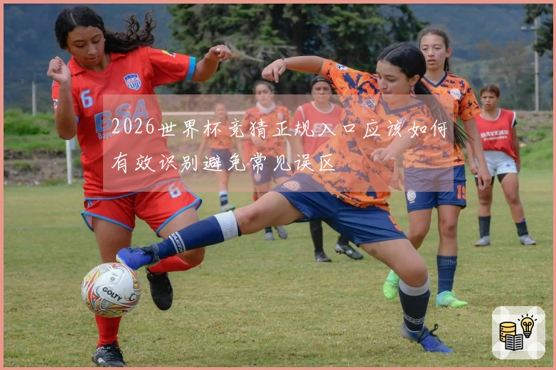 2026世界杯竞猜正规入口应该如何有效识别避免常见误区