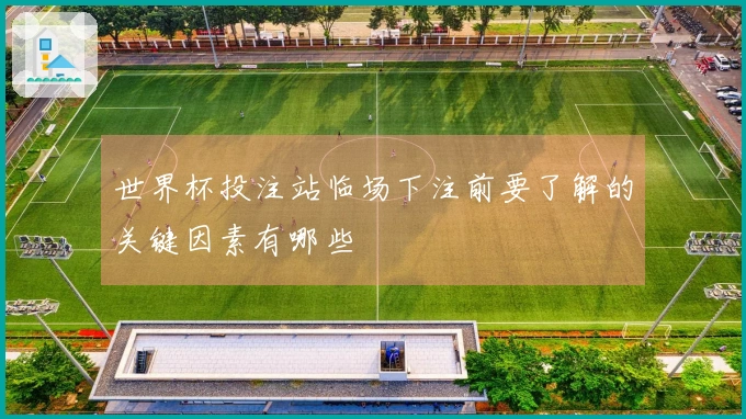 世界杯投注站临场下注前要了解的关键因素有哪些