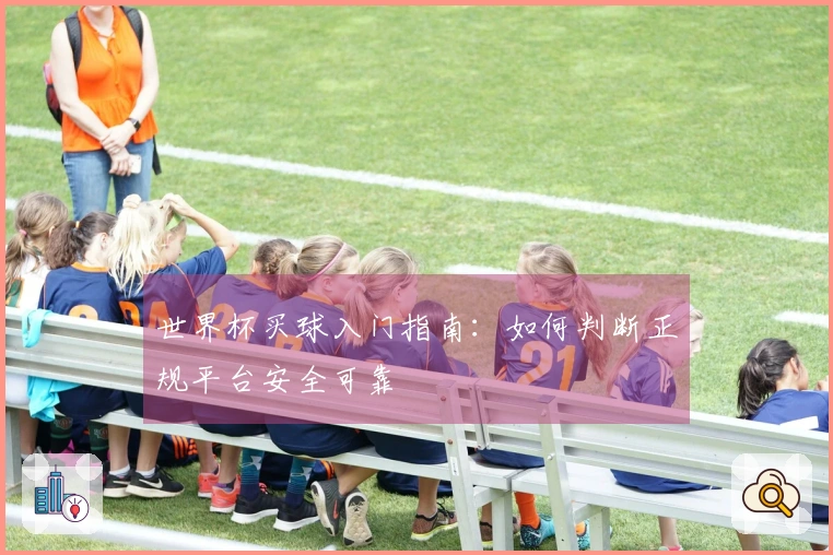 世界杯买球入门指南：如何判断正规平台安全可靠