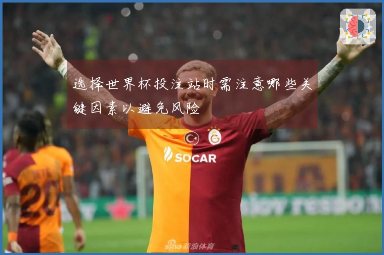 选择世界杯投注站时需注意哪些关键因素以避免风险