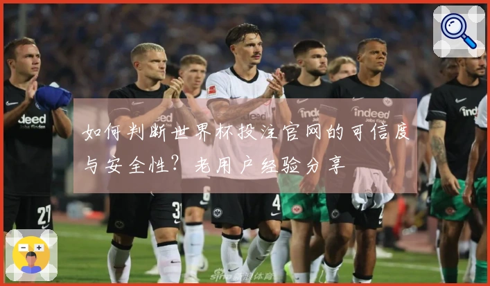 如何判断世界杯投注官网的可信度与安全性？老用户经验分享