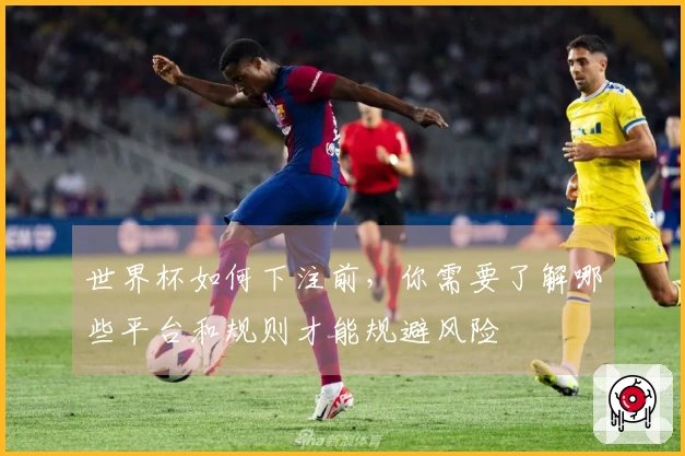 世界杯如何下注前，你需要了解哪些平台和规则才能规避风险