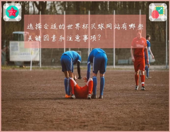 选择合适的世界杯买球网站有哪些关键因素和注意事项？