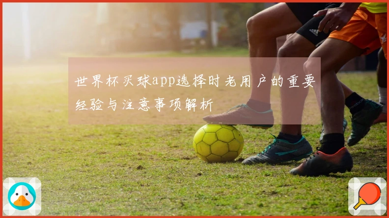 世界杯买球app选择时老用户的重要经验与注意事项解析