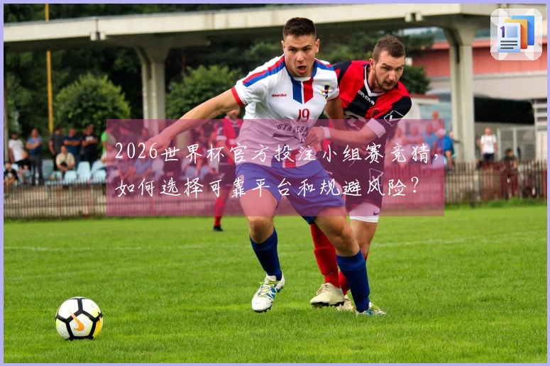 2026世界杯官方投注小组赛竞猜，如何选择可靠平台和规避风险？