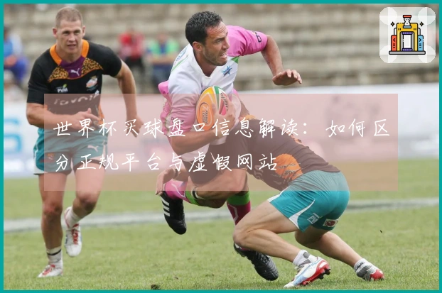 世界杯买球盘口信息解读：如何区分正规平台与虚假网站