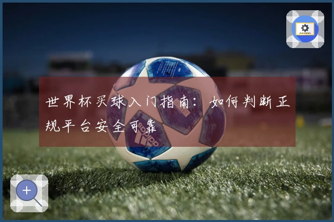 世界杯买球入门指南：如何判断正规平台安全可靠